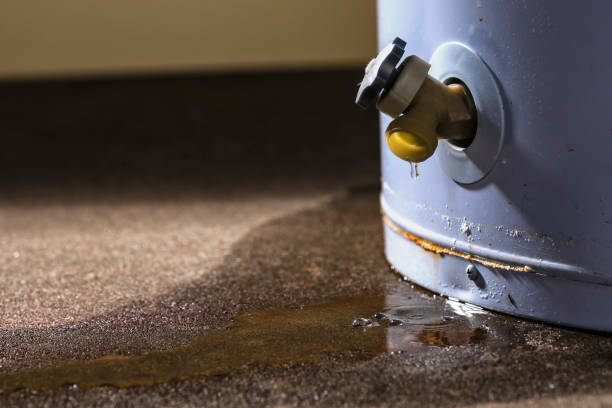 Best Local water damage restoration  in Litchfield, IL