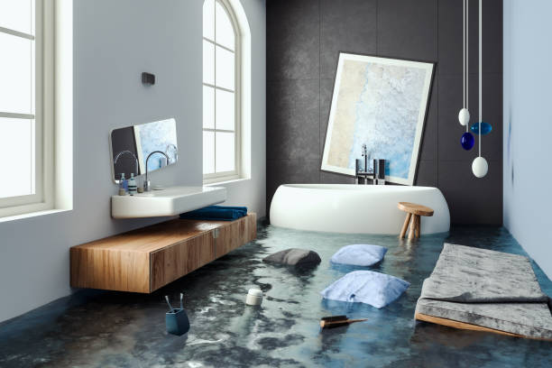 Best Sewage cleanup and water damage restoration  in Litchfield, IL
