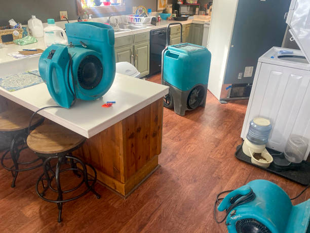 Water damage restoration insurance claims in IL