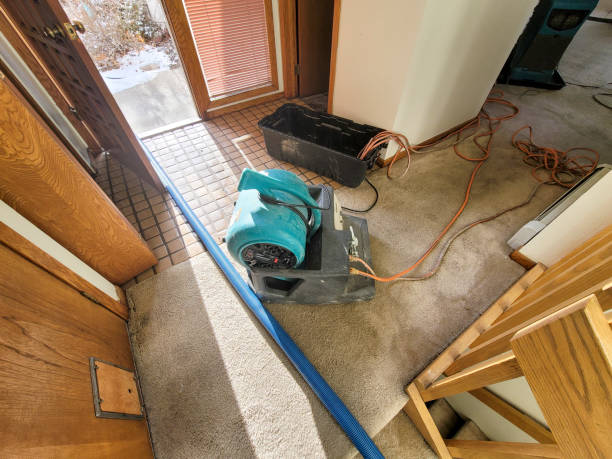 Water damage restoration experts in IL