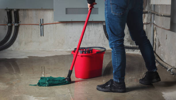 Best Basement water damage restoration  in Litchfield, IL