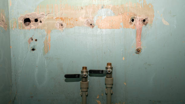 Reliable IL Water damage restoration Solutions