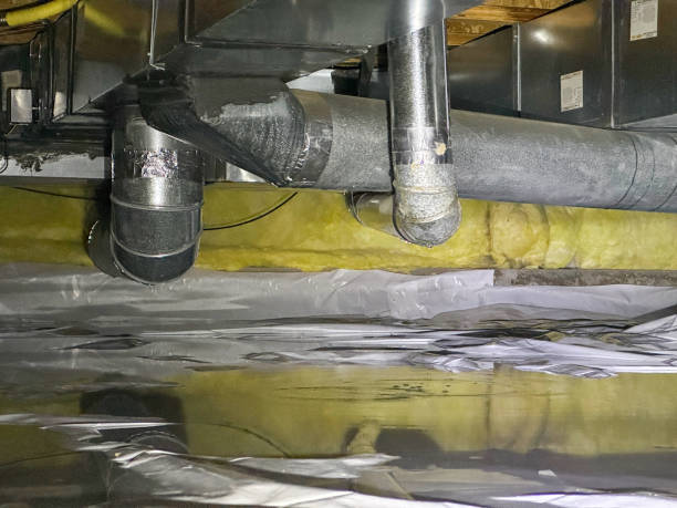 Best Water damage restoration process  in Litchfield, IL