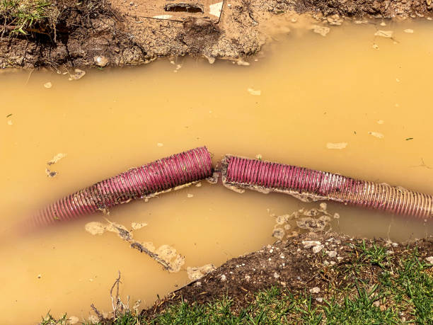 Best Water damage restoration mold remediation  in Litchfield, IL