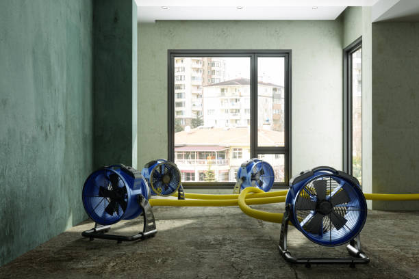 Best Water damage restoration near me  in Litchfield, IL