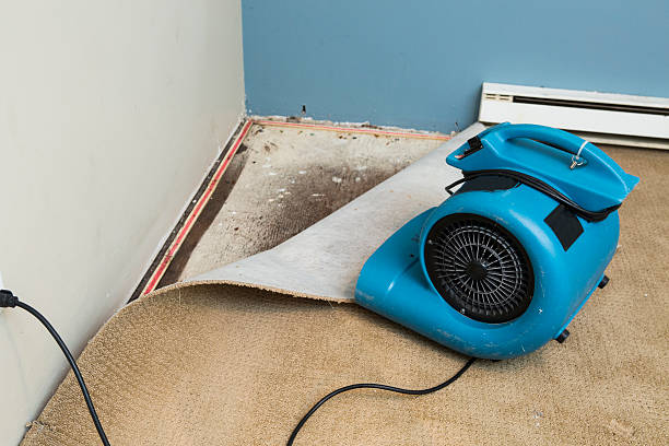 Best Flood restoration services  in Litchfield, IL